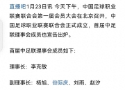 开云体育登录-中国足球职业联赛球队实力排名与成绩