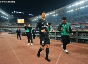 开云体育入口-申花力克鲁能，中超争冠局势更加激烈，掌声雷动