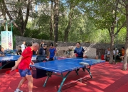 开云体育-包含乒乓球对决激烈角逐，球艺高超，引发热议的词条