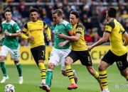 开云下载-勒沃库森：势不可挡冲击榜首！，全场震撼