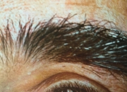 开云体育登录-关于墨西哥逆转塞内加尔，马丁内利高光表现的信息