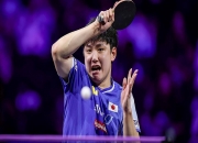 开云体育下载-法国队险胜波兰队，张本智和统治全场