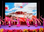 开云体育中国-西藏篮球队在主场比赛中取得胜利，精彩表现