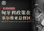 开云体育中国-匈牙利主场不敌保加利亚，困境加深