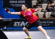 开云下载-新晋运动员崭露头角，爆冷击败老将的简单介绍