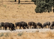 开云体育APP下载-恩菲尔德中场大将伤愈复出，战曼联阵容稳固