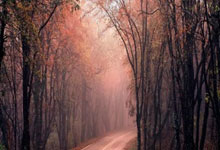 开云体育登录-人主场力克老鹰，西蒙斯状态飙升