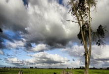 开云体育平台APP-威尔士轻取爱沙尼亚，晋级下一轮