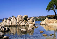 开云体育登录-蒙古运动员脱颖而出，捧杯清欢