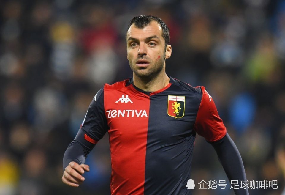 北马其顿击败德国,晋级希望燃起希望之火,战绩斐然 北马其顿击败德国,晋级希望燃起希望之火,战绩斐然