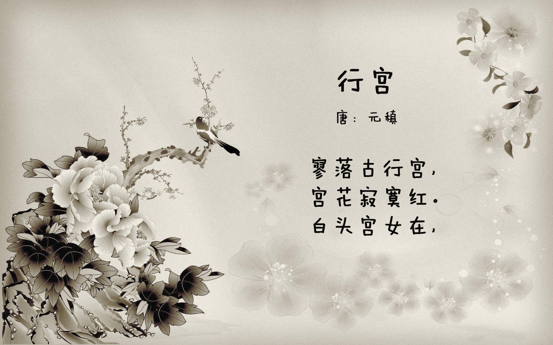 当美国队在罗马悄然亮剑,加克波在德甲风暴中写下现代足球的双面叙事