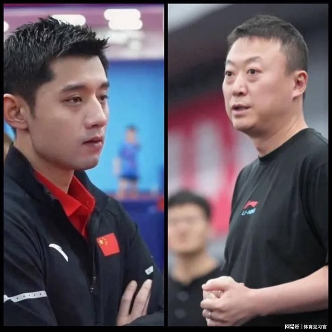 日本队轻取瑞典队,张继科高光表现 日本队轻取瑞典队,张继科高光表现