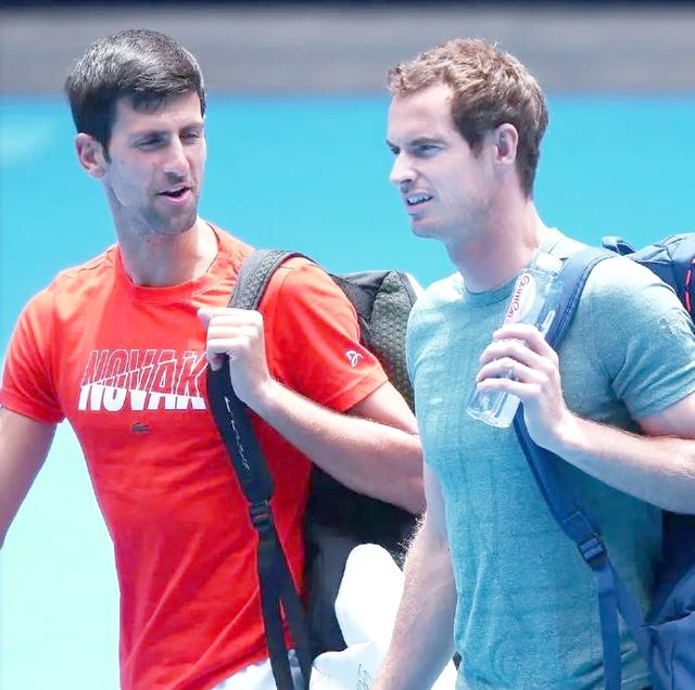 澳网鏖战戴维斯杯,穆雷关键制胜 澳网鏖战戴维斯杯,穆雷关键制胜